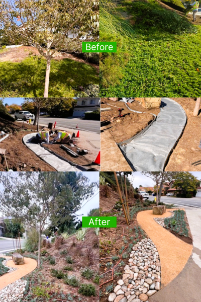 Commercial landscaping in San Diego