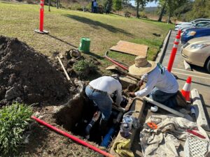 Commercial landscape maintenance in Oceanside, CA
