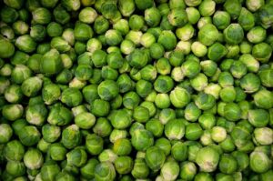 essential fall garden vegetables