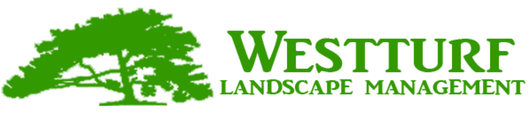 Commercial landscape maintenance service San Marcos, CA