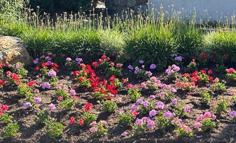 Seasonal color HOA communities Oceanside