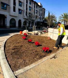 Vista HOA landscape maintenance service