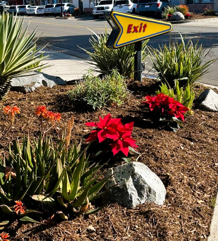 commercial landscape maintenance Vista