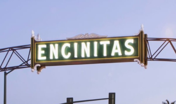 HOA landscape maintenance services in Encinitas