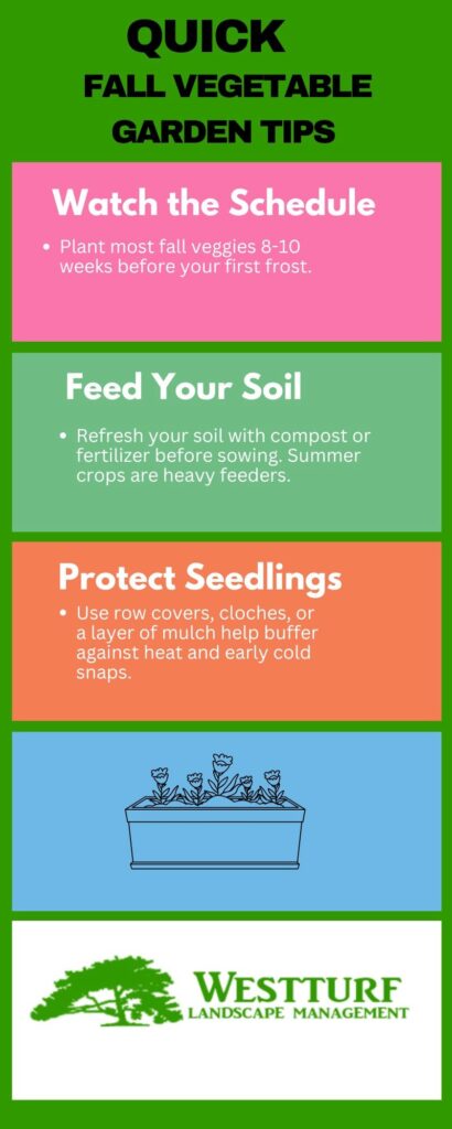 Vista, CA commercial landscaping services