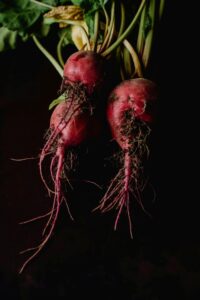 fall vegetable garden