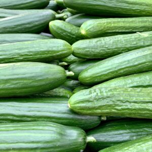 vegetable garden