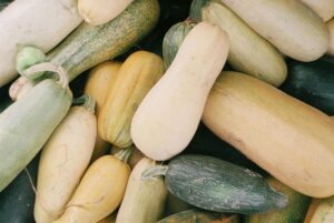 plant a fall vegetable garden