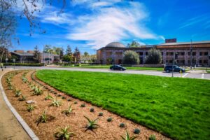 commercial landscape maintenance service San Marcos, CA