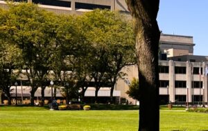 Vista commercial landscape maintenance service
