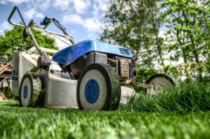 Vista commercial landscape maintenance service