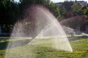 Carlsbad commercial landscape maintenance service