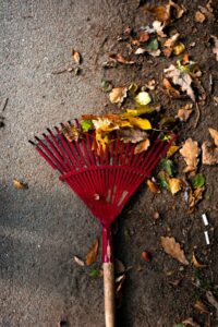 Escondido commercial landscape maintenance service