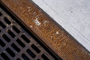 Carlsbad commercial landscape maintenance service