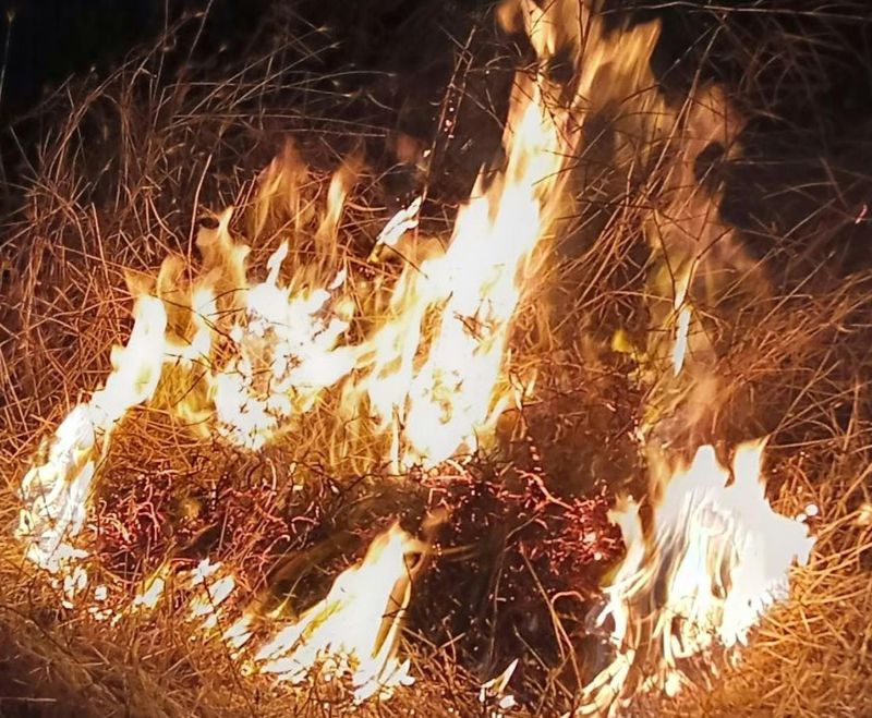 HOA landscape maintenance company in Carlsbad