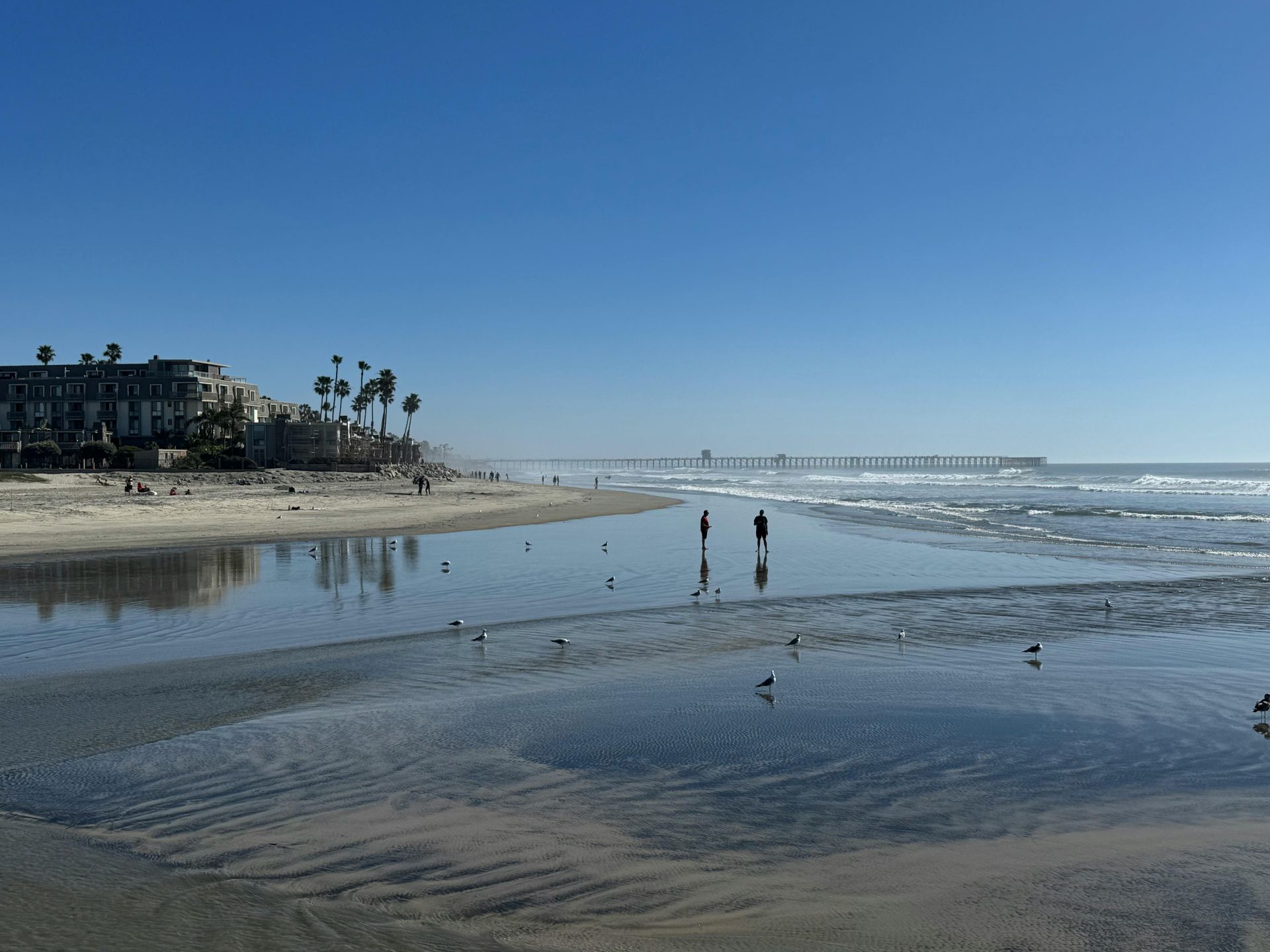 landscape maintenance service for apartment communities Vista