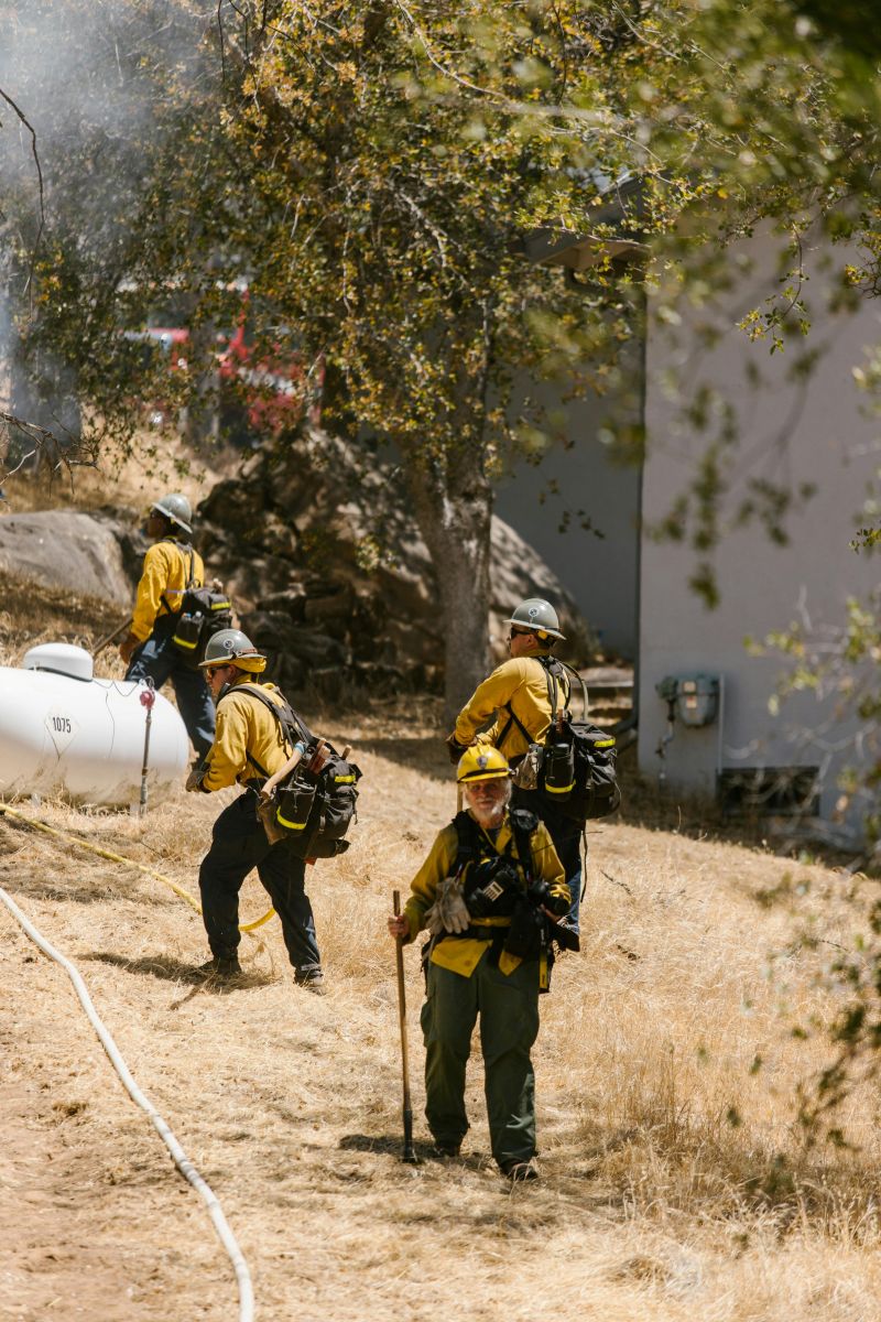commercial weed abatement service San Diego