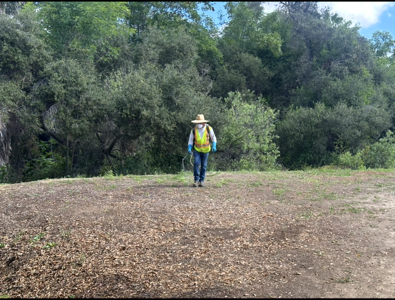 weed abatement services San Marcos, CA