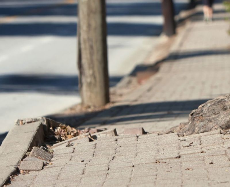 Carlsbad commercial landscape maintenance