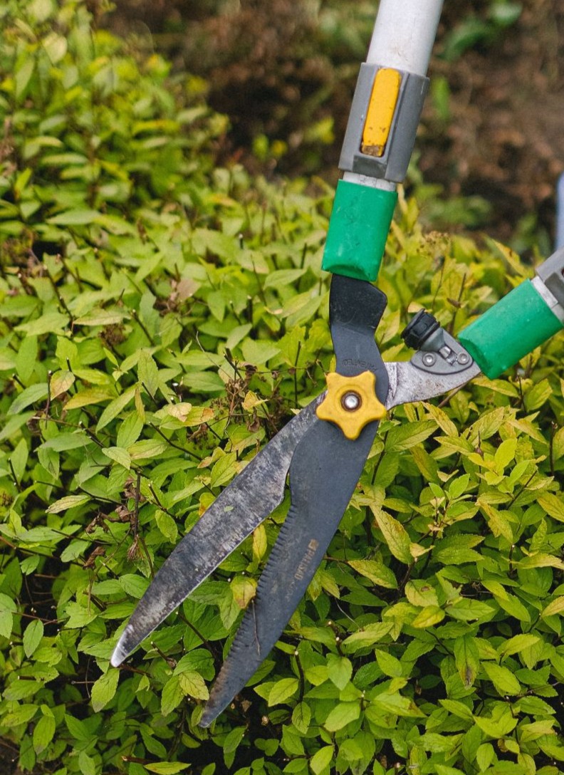 commercial landscapers in Vista, CA