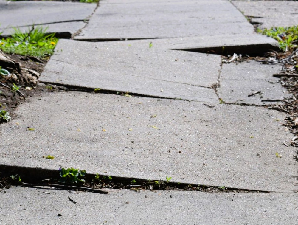Carlsbad commercial landscape maintenance services