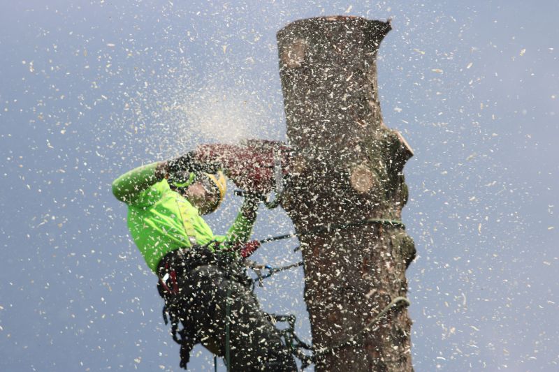 Commercial landscape maintenance service in Carlsbad, CA