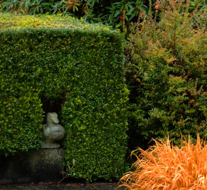 landscape maintenance retail oceanside