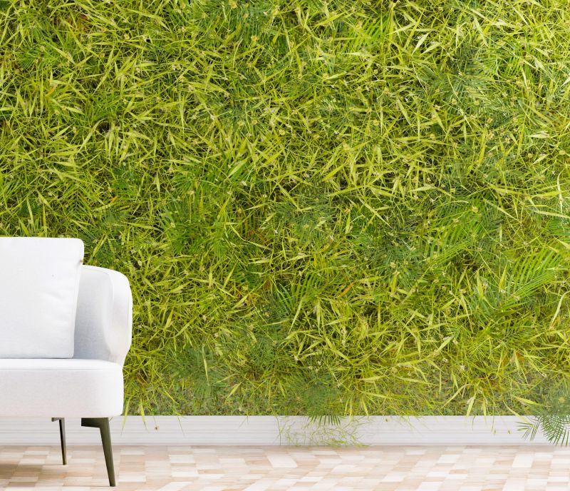 Vista commercial landscape maintenance