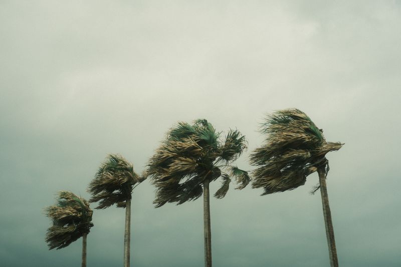 commercial landscape maintenance carlsbad