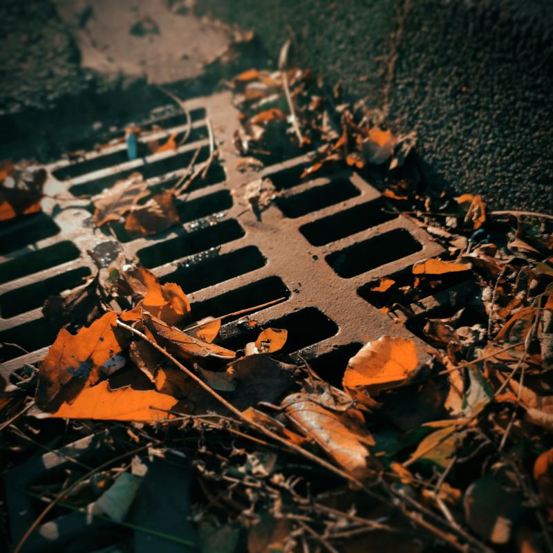 Vista commercial landscape maintenance